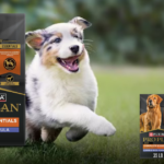 1purina dog food