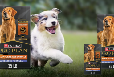 1purina dog food