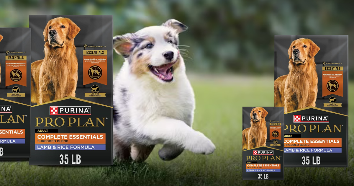 1purina dog food