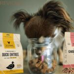 DOGS FOOD REVIEWS