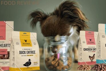 DOGS FOOD REVIEWS