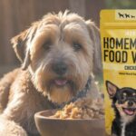 GOOD HELTHY DOG FOOD 1