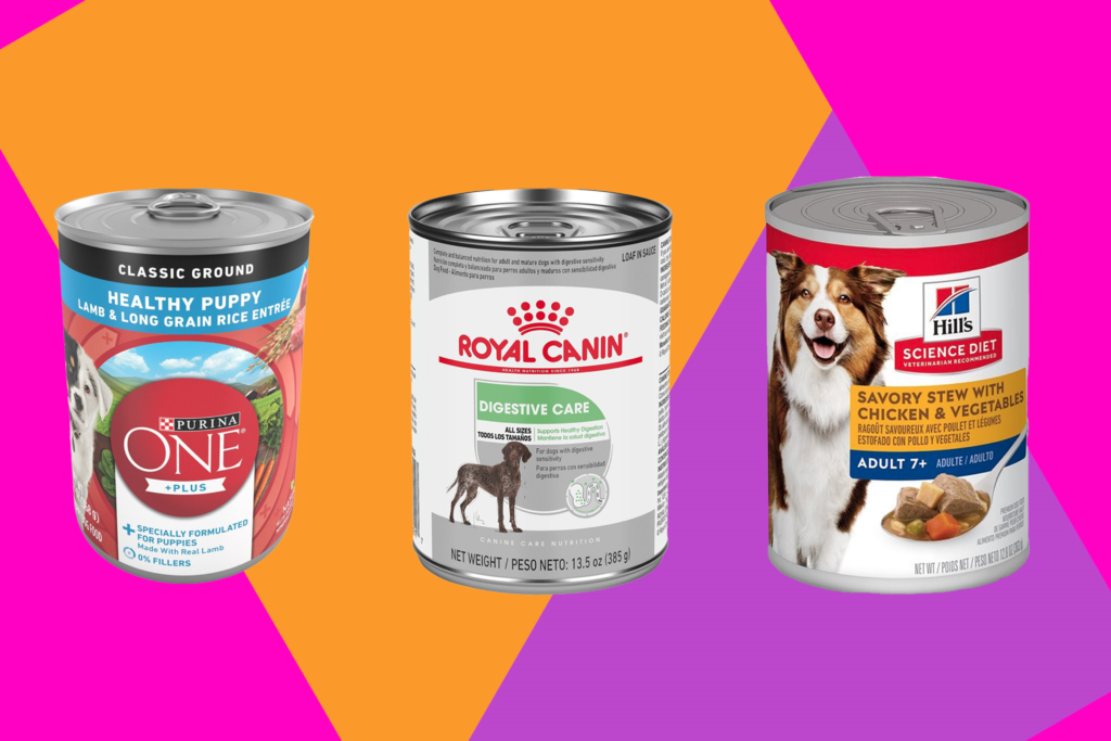 best canned dog food